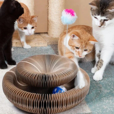 Scratchora™ - No-Crumbs Transformable Cat Toy