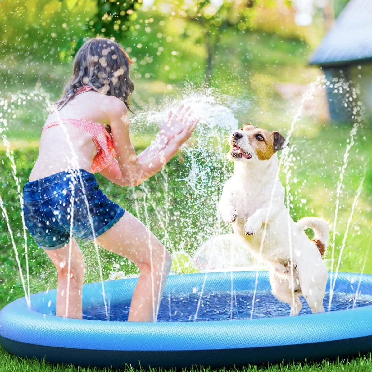 Watersplash™ for Dogs and Family