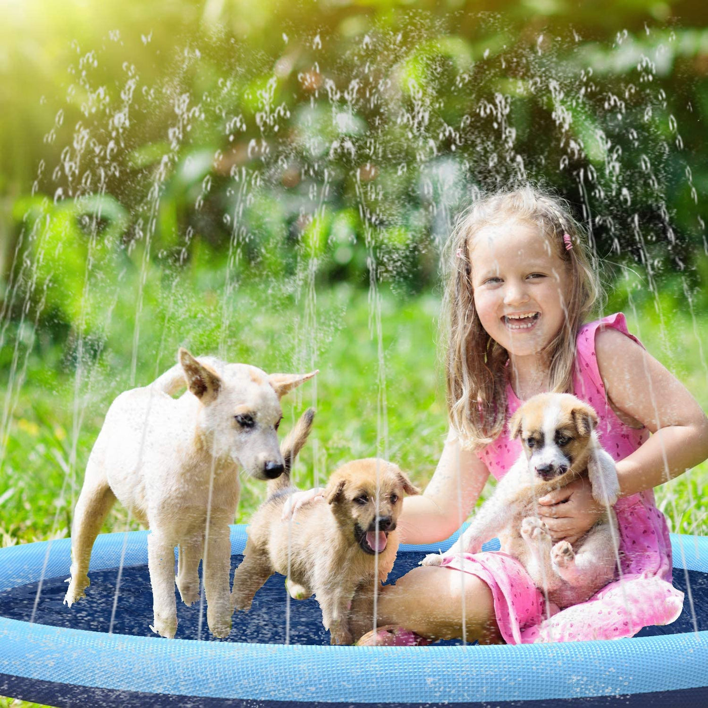 Watersplash™ for Dogs and Family