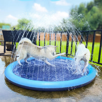 Watersplash™ for Dogs and Family