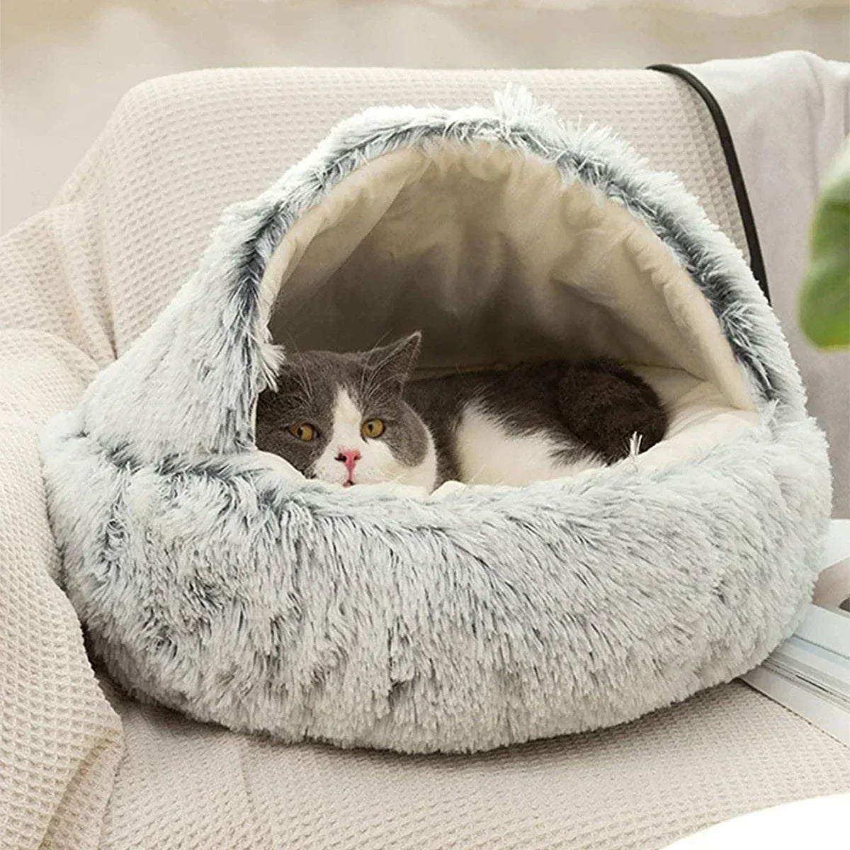 CatBed™ - Plush Hooded Cat Cocoon (50% DISCOUNT)