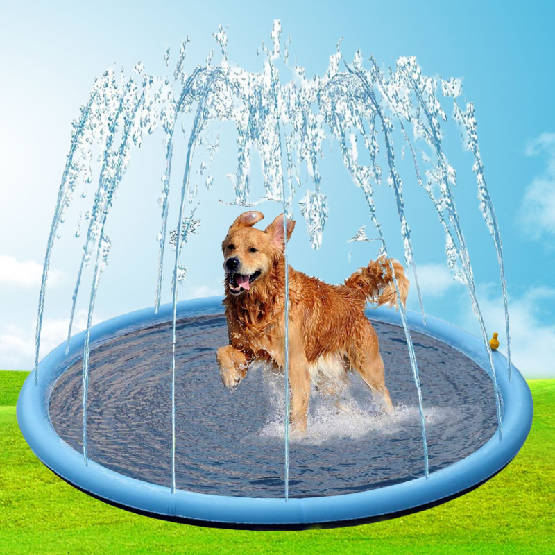 Watersplash™ for Dogs and Family