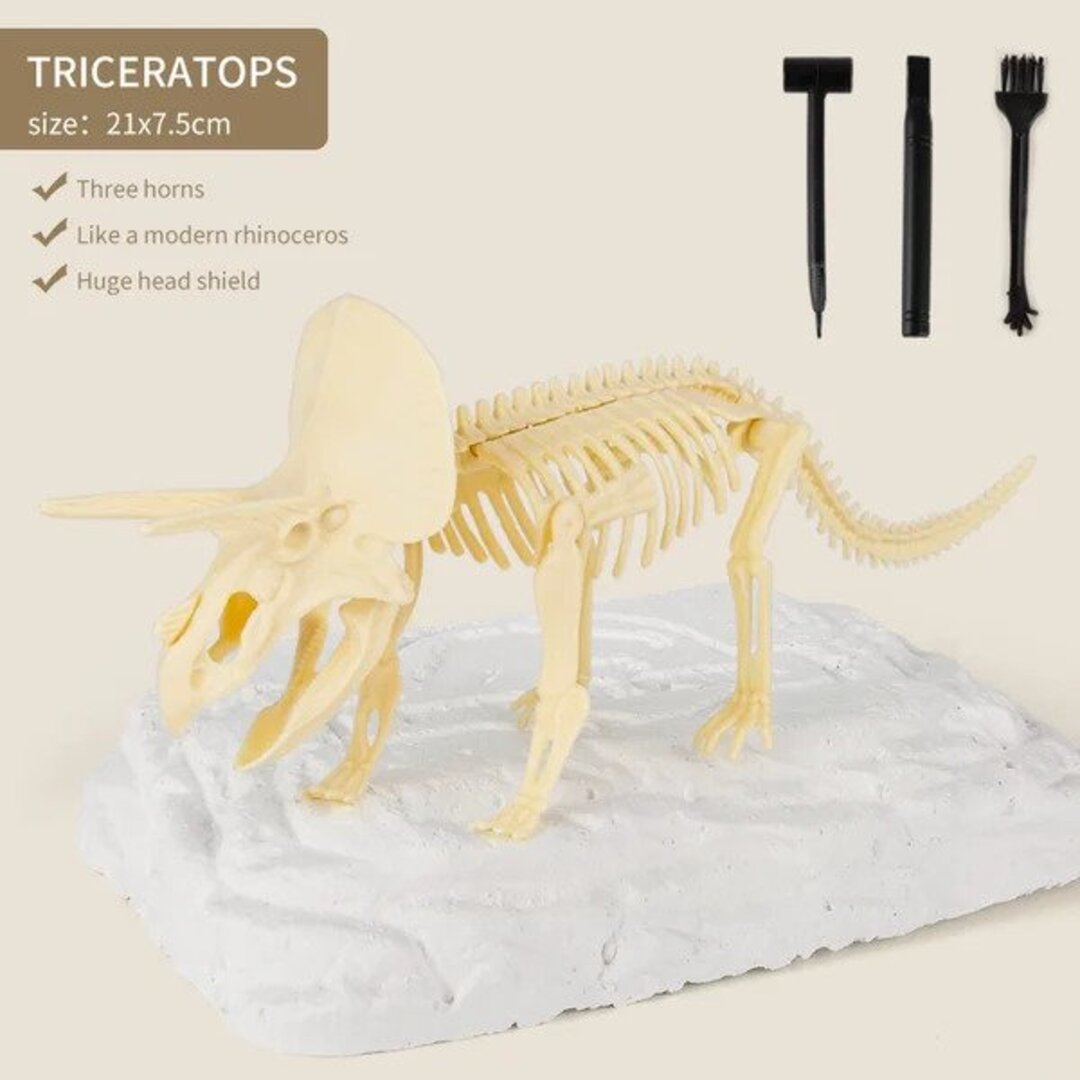 50% OFF | Dinosaur Fossil Excavation Kit