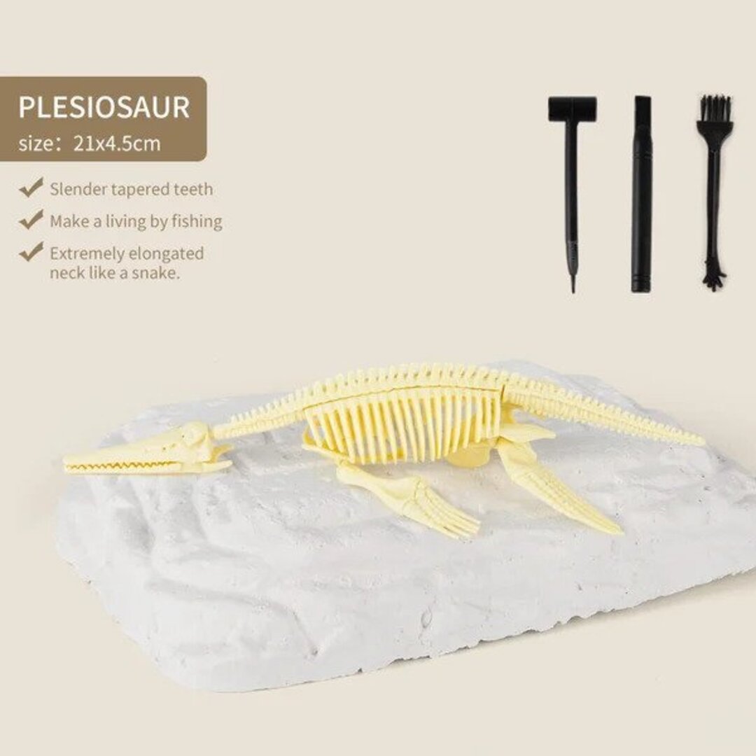 50% OFF | Dinosaur Fossil Excavation Kit