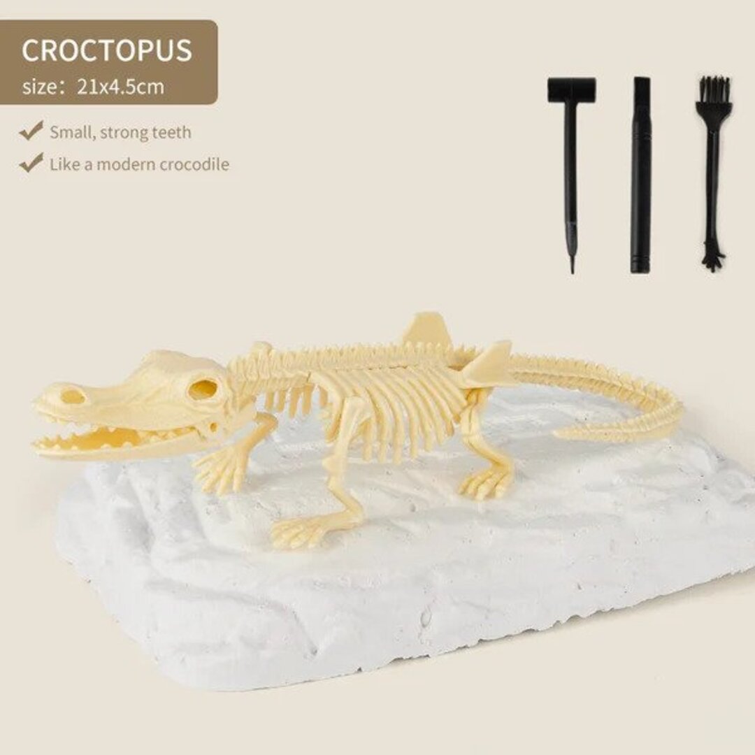 50% OFF | Dinosaur Fossil Excavation Kit