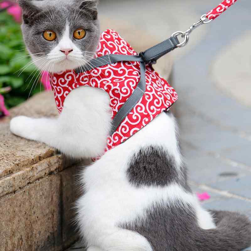 PetMo™ Cat Harness