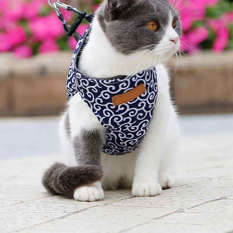 PetMo™ Cat Harness