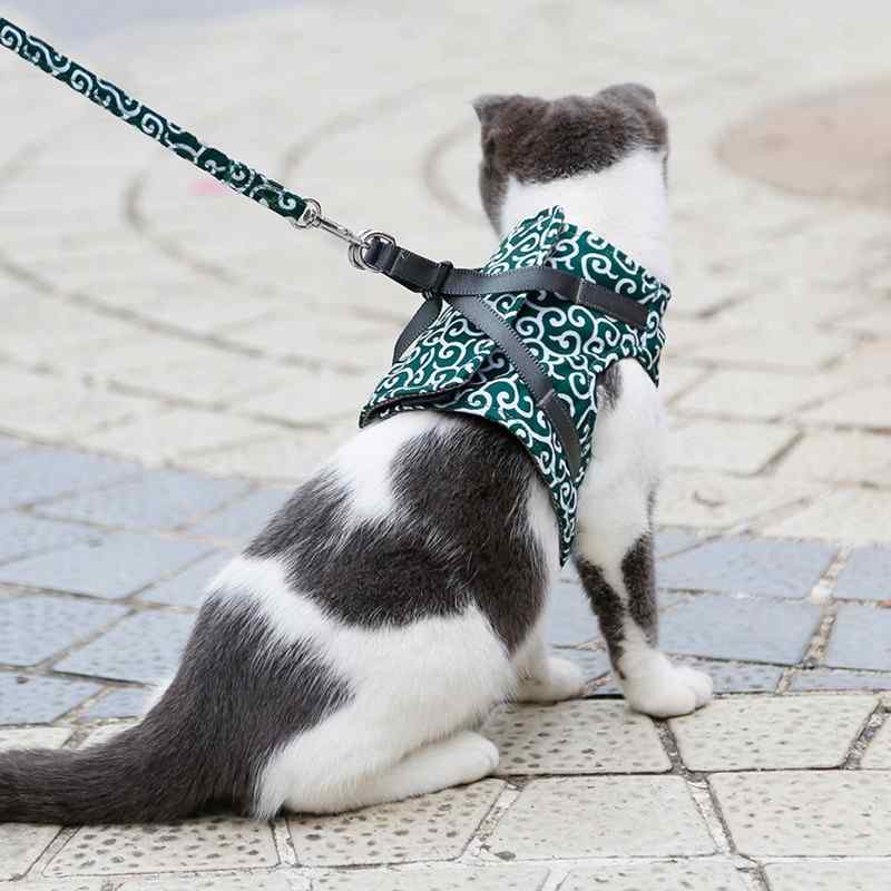 PetMo™ Cat Harness